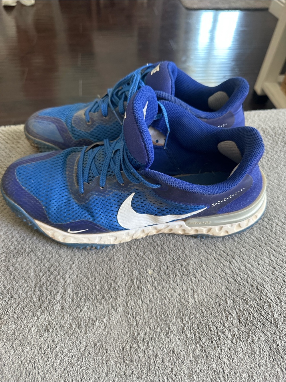 Nike Men’s Royal Blue Athletic Sneakers with White Swoosh